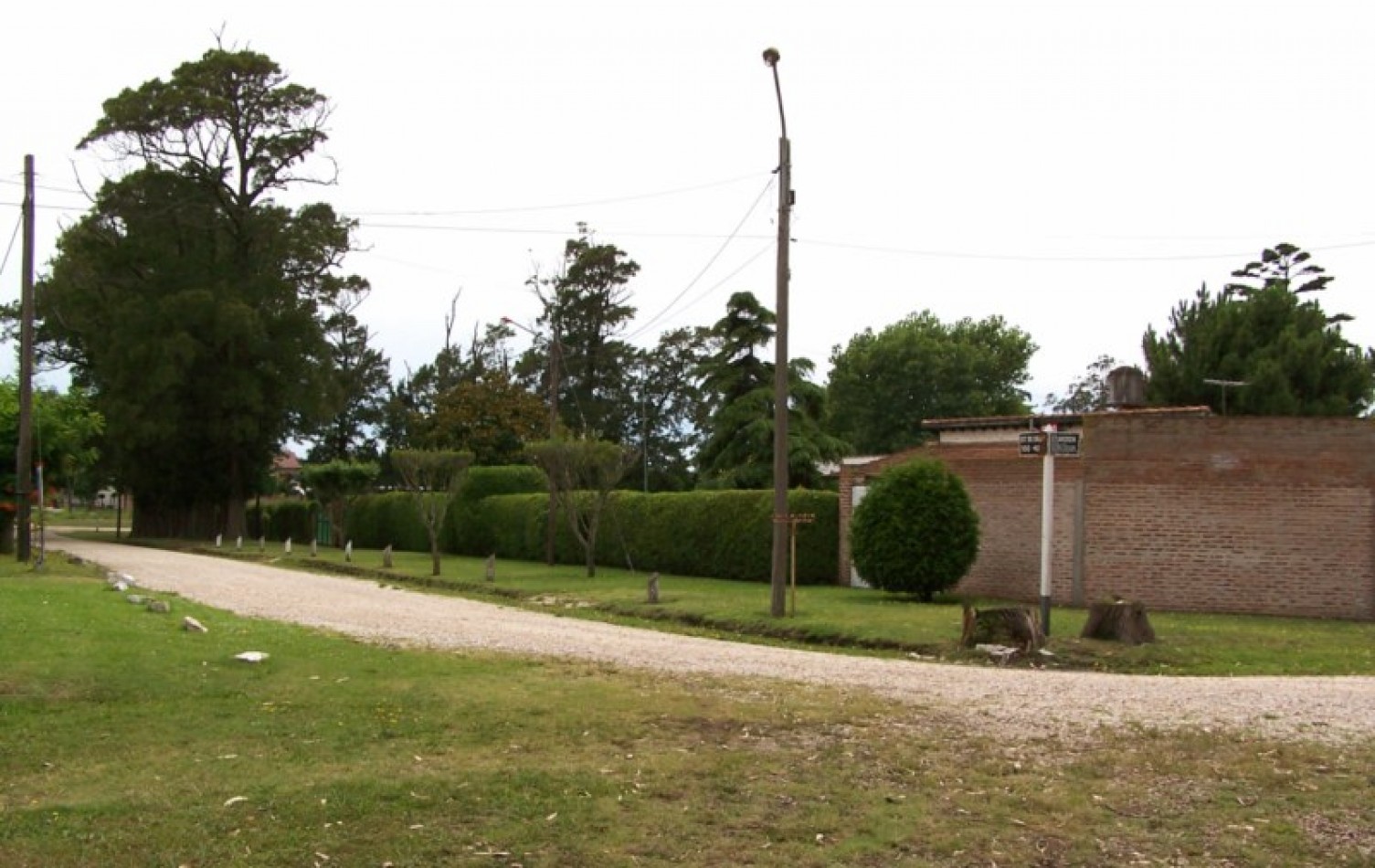 CASA 