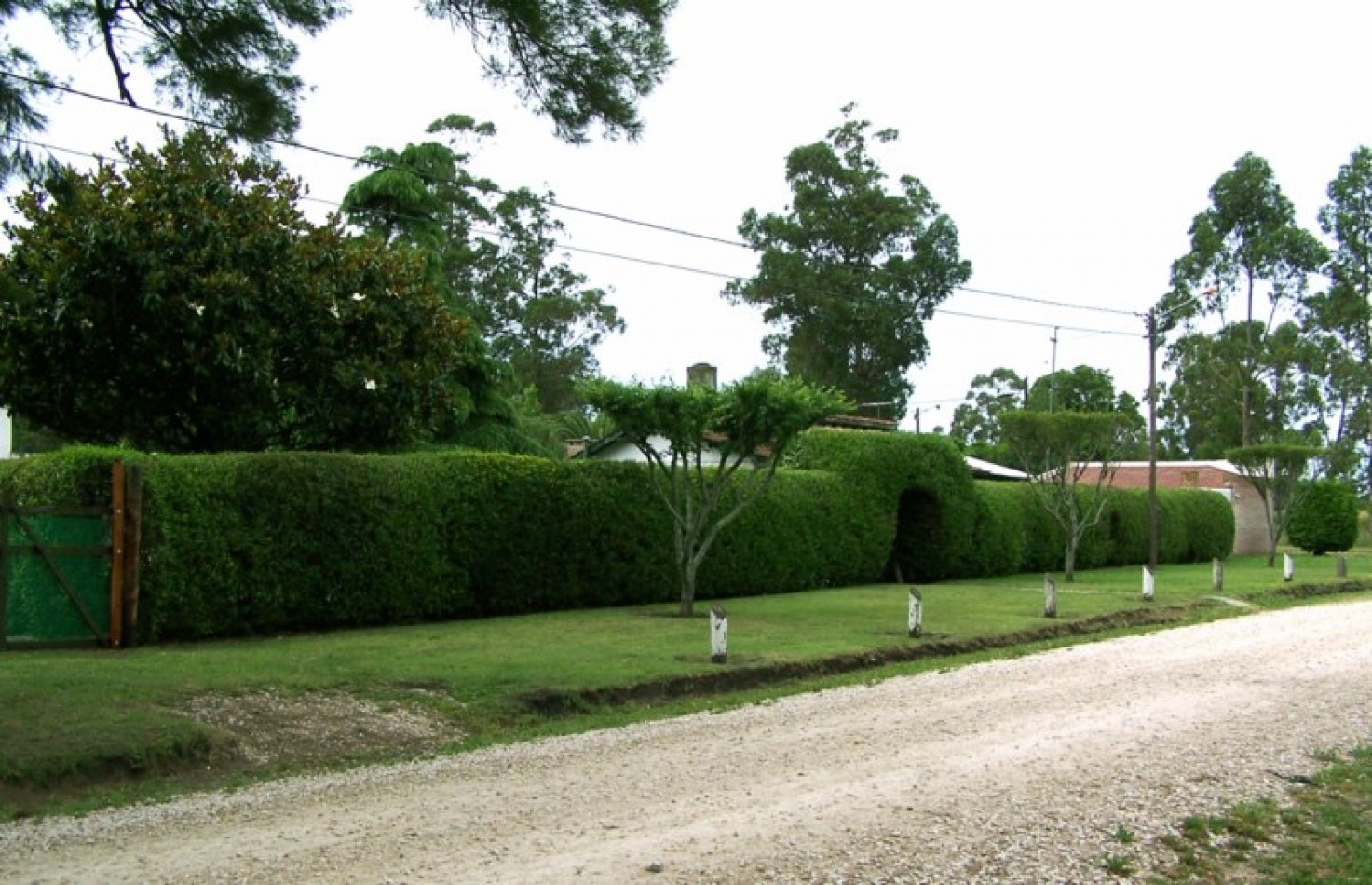 CASA 